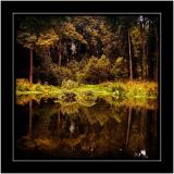 Reflections, Hestercombe Gardens, Taunton, Somerset