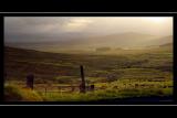 Intense light, near Grantown-on-Spey, Morayshire, Scotland