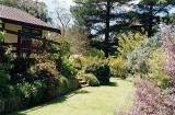 south-facing garden
