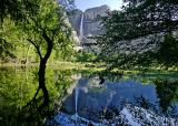 yosemite falls thru the trees 1