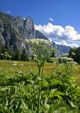 yosemite valley views 2