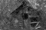 Abandoned 10/16/05