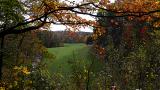 Forest & Fields 10/23/05
