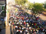 Everyone Participates...10's of Thousands!