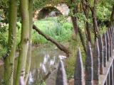 This part of the moat is by Richmond railway bridge.