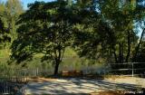 View of Delta Ponds