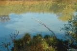 Another view of the ponds #2