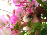 PICT5067 hiding amongst purple flowers.JPG
