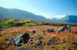 near Lom