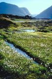 near Geiranger