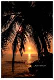 Kona Sunset