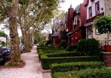 Sycamore row
