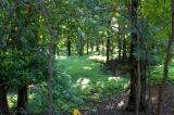 park 014.jpg