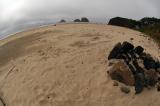 Oceanside, Oregon 10