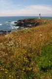 Yaquina Bay Lighthouse 7