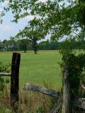06 16 05 Rural TX, 2