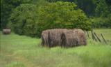 06 16 05 Rural TX 3