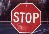 Stop World Bank (South Amherst, MA)