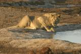 CRW_0094-l-drk.jpg
