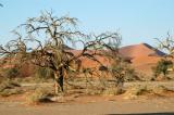 Sossusvlei