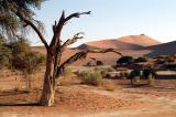 Sossusvlei