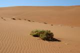Heading to Dead Vlei