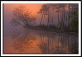 Early Morning Glow