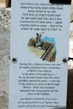 Interpretive sign