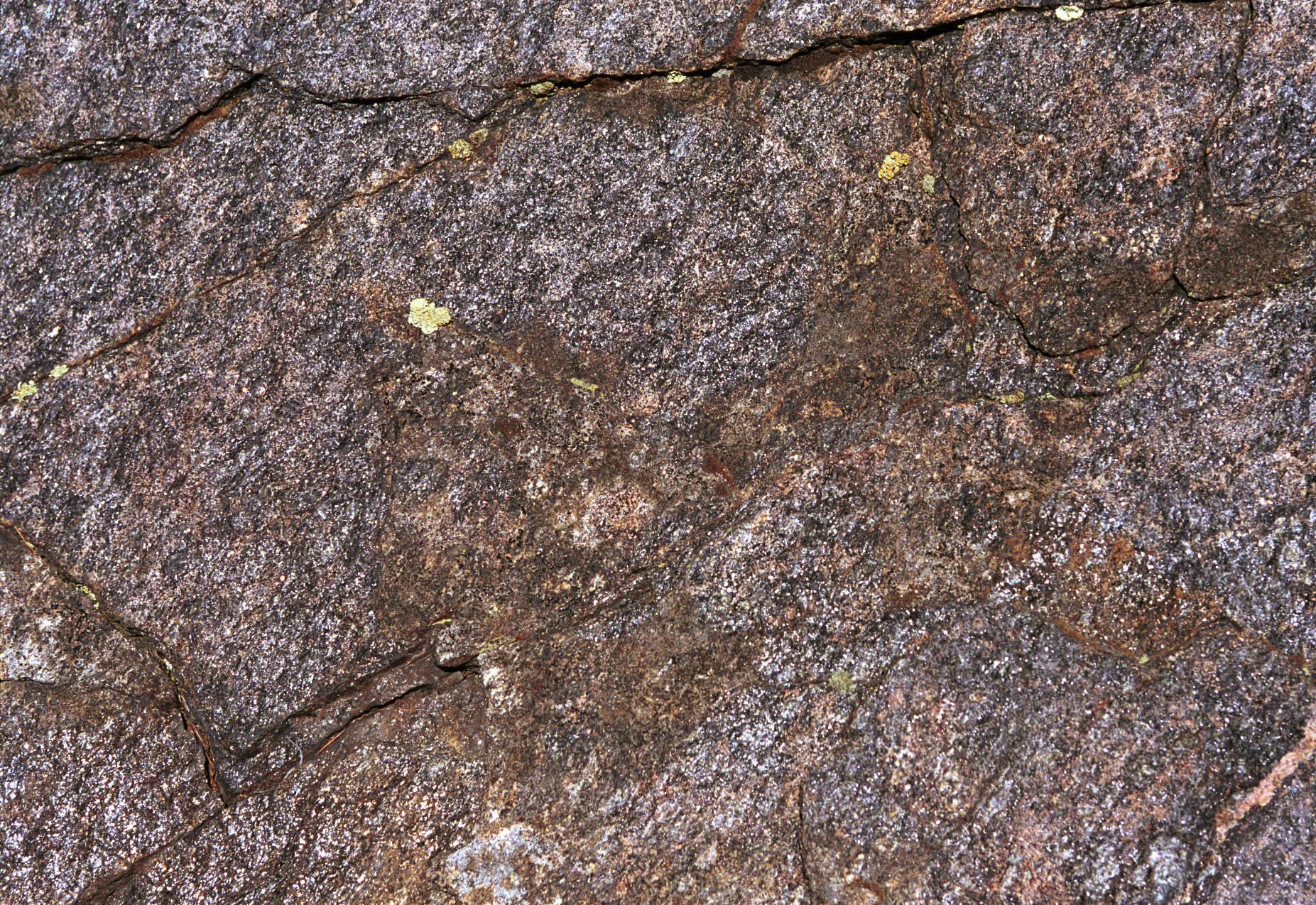RockCloseUp
