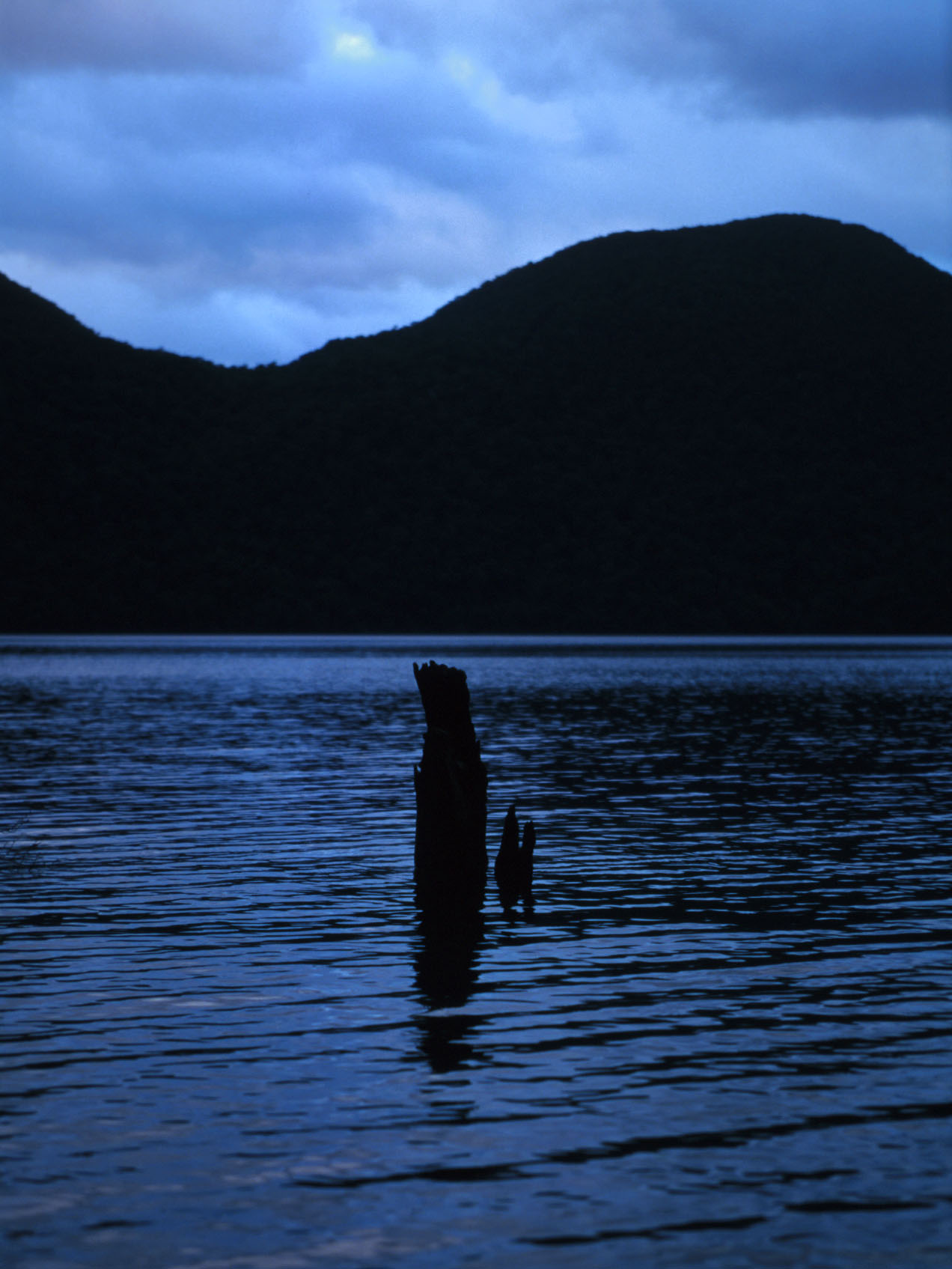 dark lake