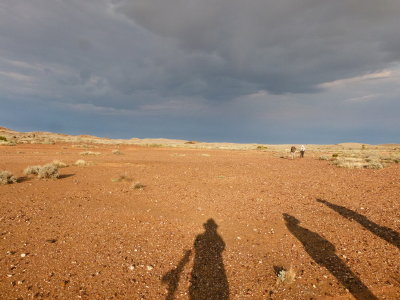 Outback near Lyndhurst