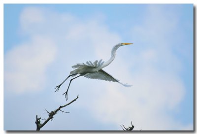 DSC_1795.jpg