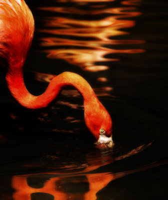 g1/00/132800/3/112155790.VjMUhNnS.jpg