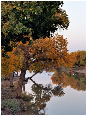 _ND30171.jpg
