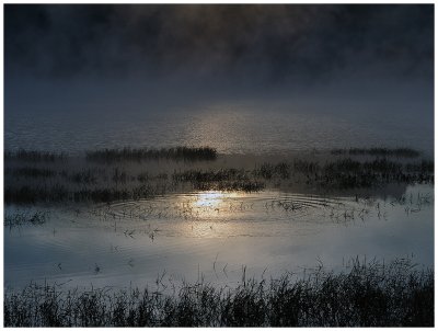 _ND31046.jpg