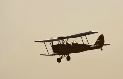 Tiger Moth.jpg