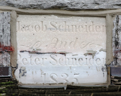 Date stone closeup