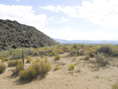 Indian Petroglyph Park near Albuquerque