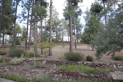 Lowell Observatory