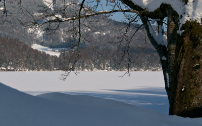 2005-02 Fuschlseewinter.jpg