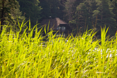 2005-08 morgens.jpg