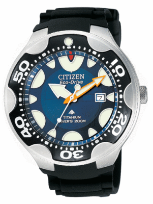BN0016-04Lfull.gif