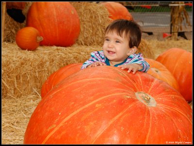 Halloween 2008