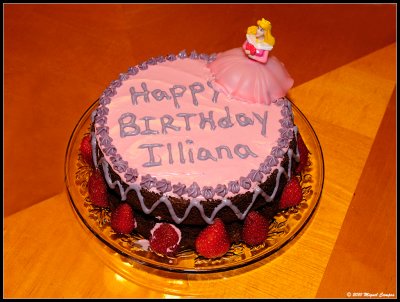 Iliana's Third Birthday