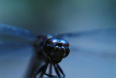 g1/00/358300/3/116033958.hH4GLIVu.jpg