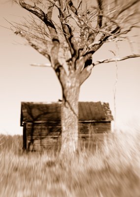 farmhouse and tree sepia