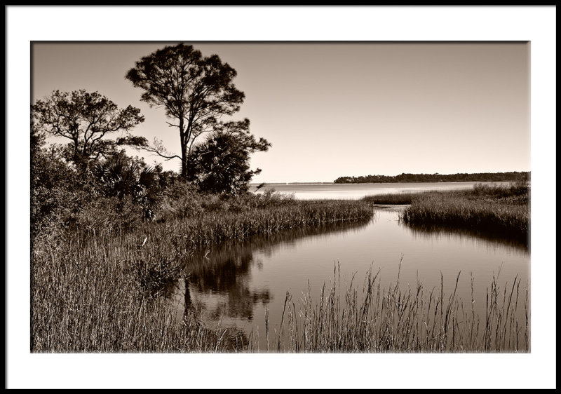 Cape San Blas 1