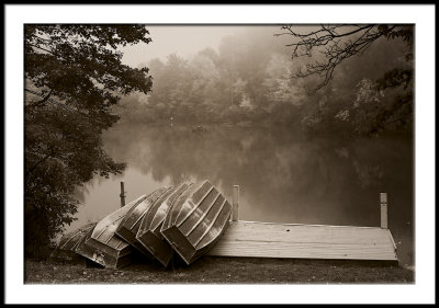 Foggy morning on Price Lake/mono