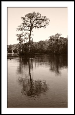 Wakulla Springs 1