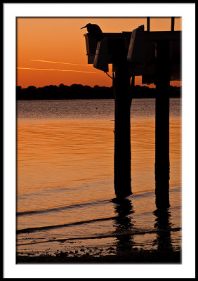 Cedar Key Dock at Sunset